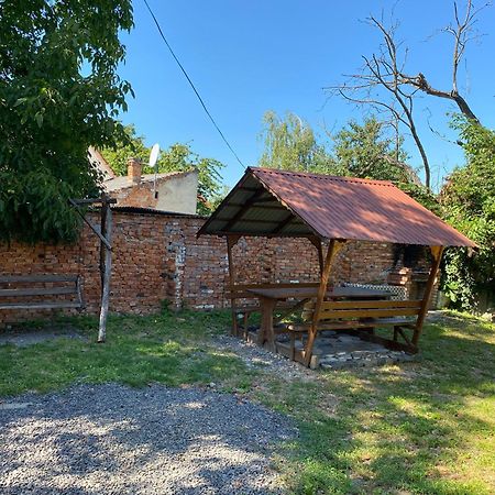 Будинок Для Відпочинку Патріція Beregovo Exterior foto